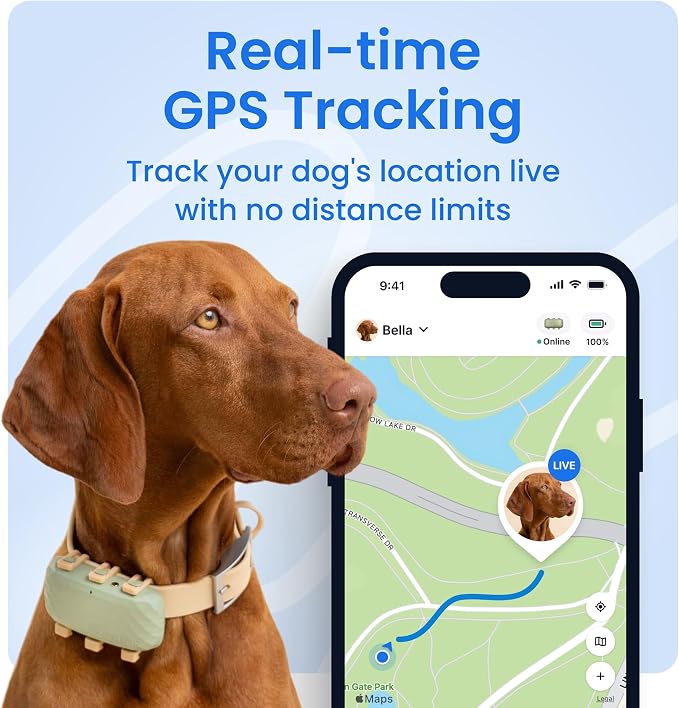 Tractive XL Smart Dog GPS Tracker | Live Pet Tracker - Image 2