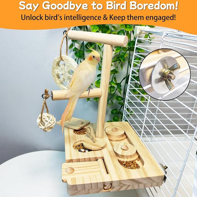 Bird Foraging Toys Parrot Enrichment Puzzle Toy Bird Playground Exploring - Image 4