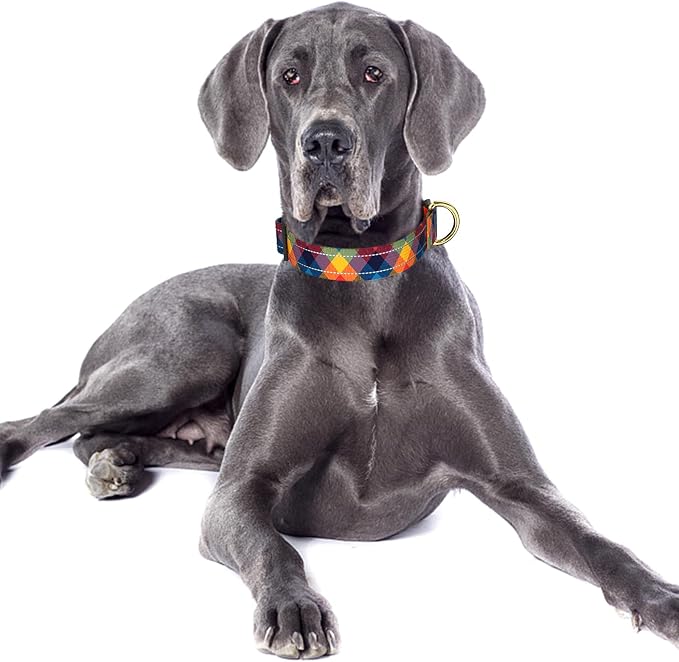 Reflective Dog Collar for Large Dogs, Cute Boho Adjustable Heavy-Duty Nylon - Image 2