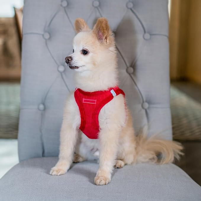 Best Pet Supplies - Image 7