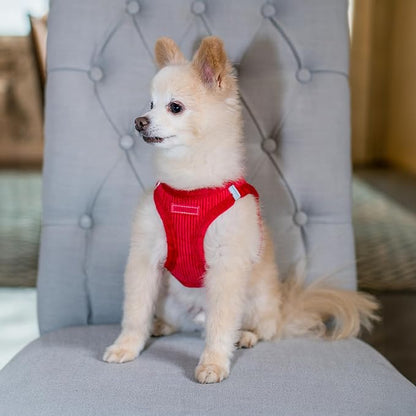 Best Pet Supplies - Image 7