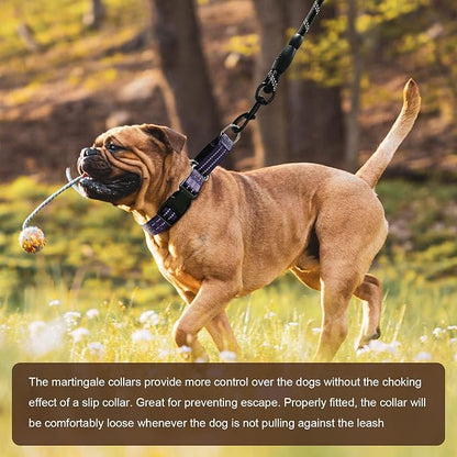 Hikiko Martingale Collar for Dogs Reflective Nylon Dog Collar - Image 5