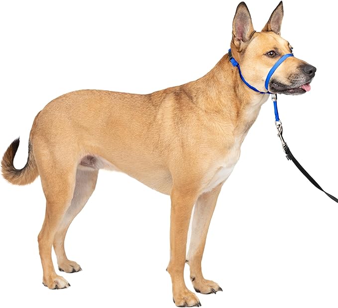 PetSafe Gentle Leader Headcollar No-Pull Dog Collar by PetSafe