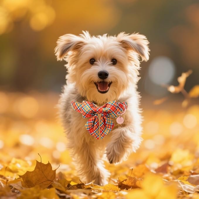 Autumn Plaid Dog Collar and Bow Tie Set – Orange Yellow Checkered Adjustable - Image 5
