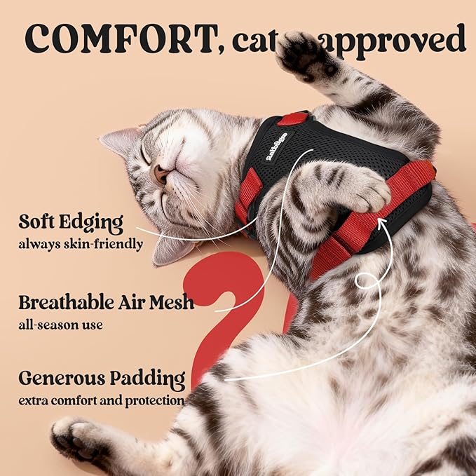 rabbitgoo Cat Harness and Leash - Image 4