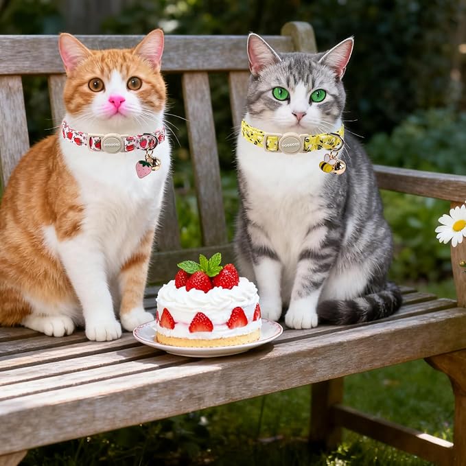 2 Pack Bee Cat Collars Breakaway - Image 5