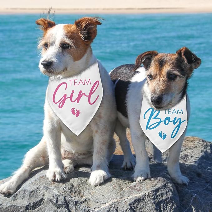 2 Packs Team Girl Team Boy Gender Reveal Baby Announcement Dog Bandana Pet - Image 4