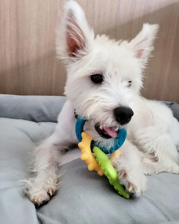 Nylabone Teething Rings Puppy Power Chew Toy - Image 3