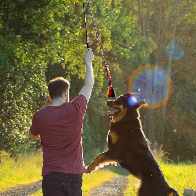 Flirt Pole for Dogs-Interactive Lures Durability Rope, Chase and Tug of war - Image 7