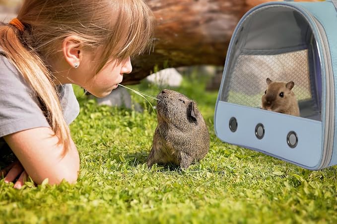 Guinea Pig Carrier Backpack, Bunny Rat Bird - Image 6