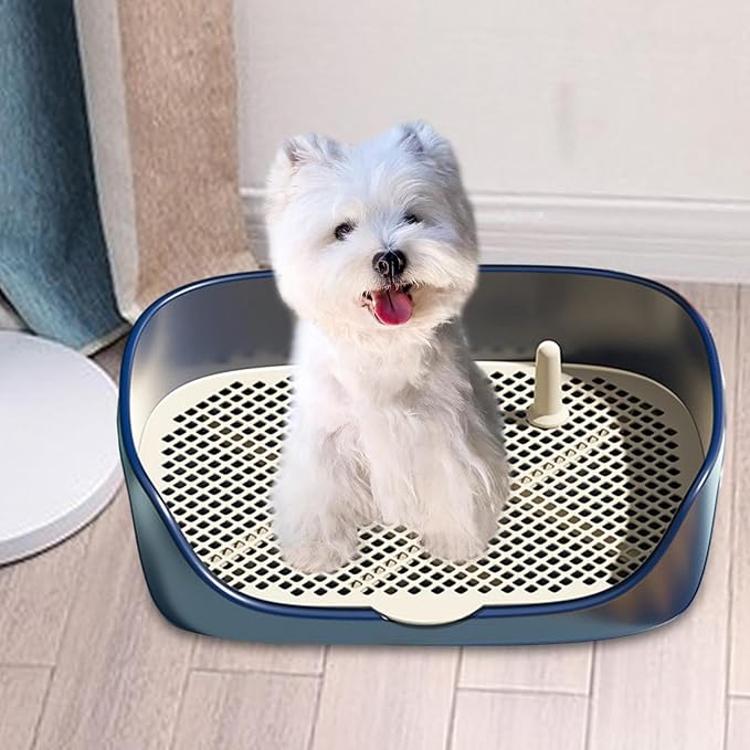 Dog Tray with Wall for Cats and Dogs, Elevated Pet Feeding Station, - Image 2