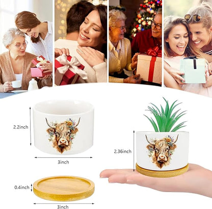 Highland Cow Succulent Pots 3 Pack, 3 Inch Succulent Planters - Image 3