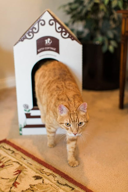 Disposable Ten Second Litter Boxes - Image 4