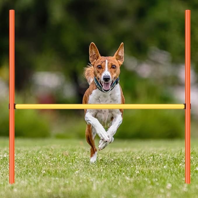 8 Set Dog Agility Jump Adjustable Dog Agility Hurdle Training Equipment - Image 3