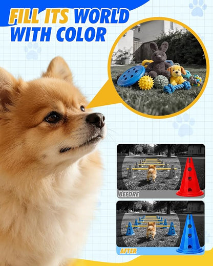 Dog Agility Hurdle Cone Set, Dog Agility Course Backyard Set - Image 7