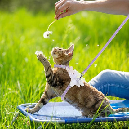 TIESOME Cat Harness and Leash Set, Adjustable Gradient Kitten Harness Escape - Image 5