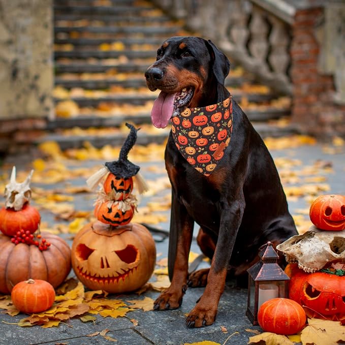 PTDECOR Halloween Dog Bandana, Skeleton Pumpkin Reversible Holiday Dog Scarf - Image 3