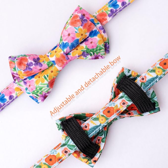 Faygarsle 2 Pack Cat Collar - Image 3