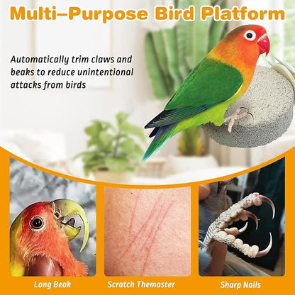 PINVNBY 6 PCS Bird Perch Parrot Beak Grinding Stone Calcium Mineral Parrot - Image 5
