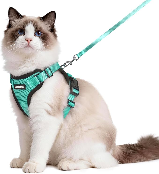 rabbitgoo Cat Harness and Leash by rabbitgoo