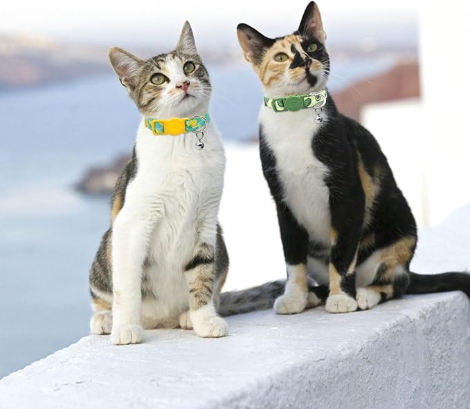 azuza 4 Pack Cat Kitten Collar Breakaway - Image 2