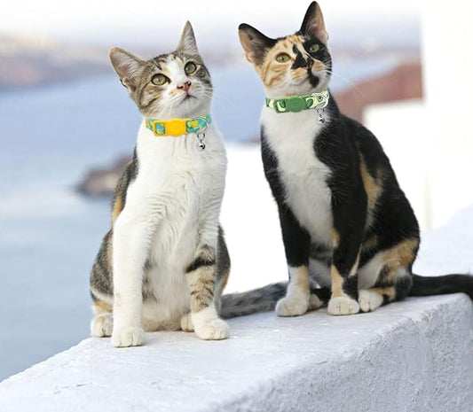 azuza 4 Pack Cat Kitten Collar Breakaway - Image 2