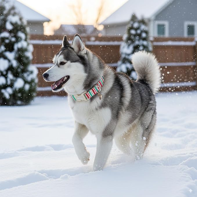 Polyester Collar for Dog, Adjustable Christmas Dog Collar for Extra Medium Dogs - Image 4