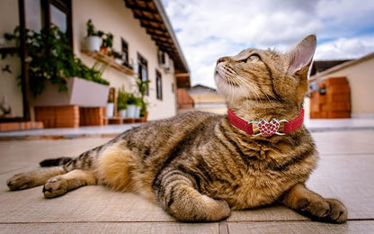 Heart Bling Cat Collar with Safety Belt and Bell Adjustable 8-10 inches - Image 5