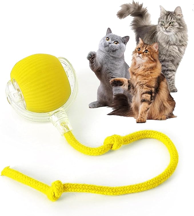 Rocfish Durable Interactive Cat Toys by Unknown