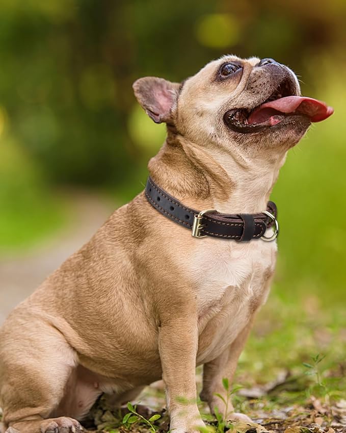 Joytale Leather Dog Collar for Small Dogs, Genuine Solid Sturdy Leather for - Image 2