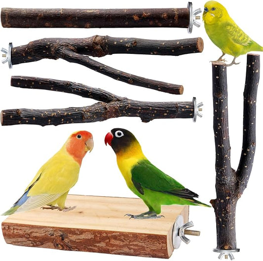 Bird Toys Parakeet Perch Budgie Perch Wood Stand Fork Toys Multi-Branch Perch by BBjinronjy