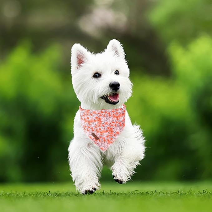 Summer Dog Bandana, UP URARA PUP Orange Bandana - Image 5