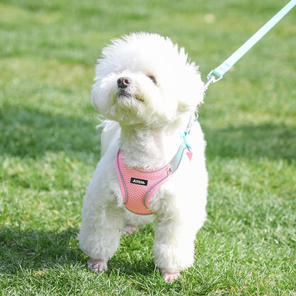 AIITLE Escape Proof Dog Harness - Image 9