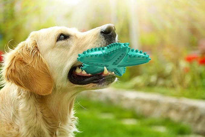 Carllg Dog Toys for Aggressive Chewers, Dog Teething Cleaning Toothbrush Toy - Image 4