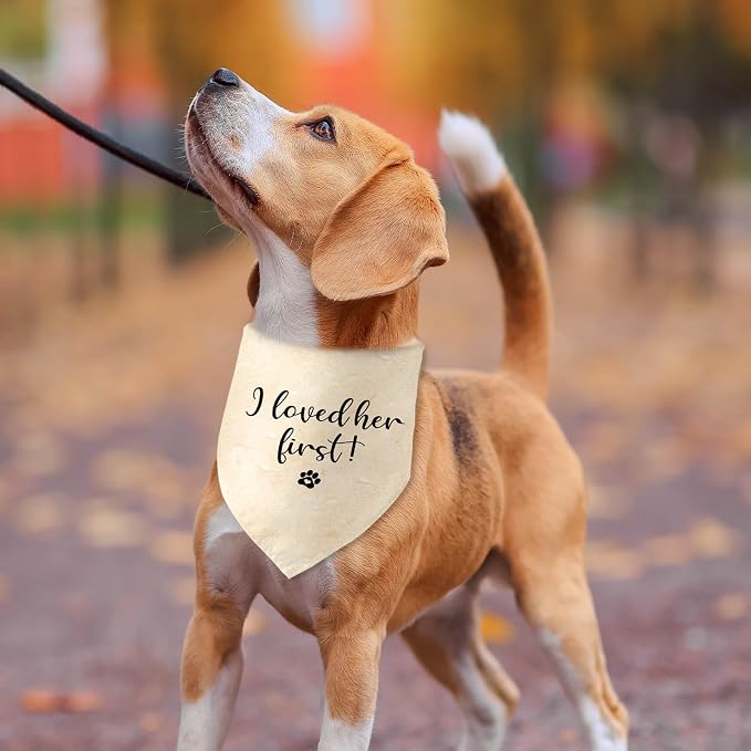 Engagement Gifts I Loved her First! Dog Bandana Pet Scarf Wedding Photo Prop - Image 6