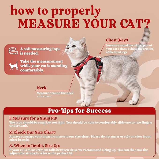 rabbitgoo Cat Harness and Leash - Image 2