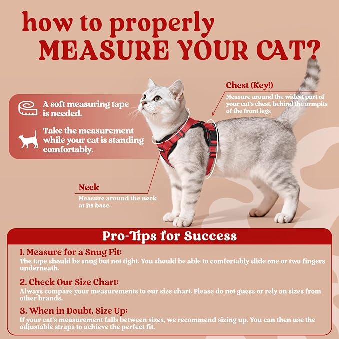 rabbitgoo Cat Harness and Leash - Image 2