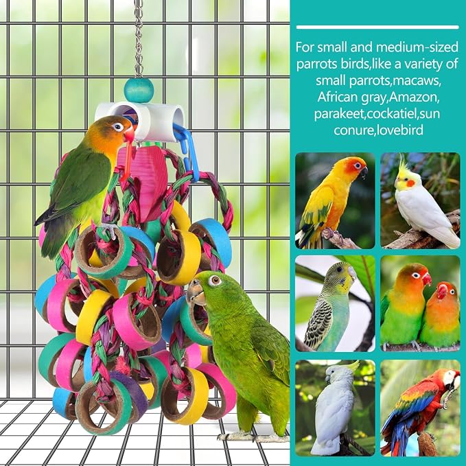 Bird Toys Conure Toys, Bird Parrot Foraging Shredder 24 Pcs Colorful Bagel - Image 3