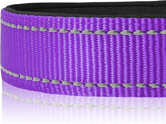Joytale Reflective Dog Collar, Soft Neoprene Padded, Metal D-Ring, Nylon Pet - Image 4