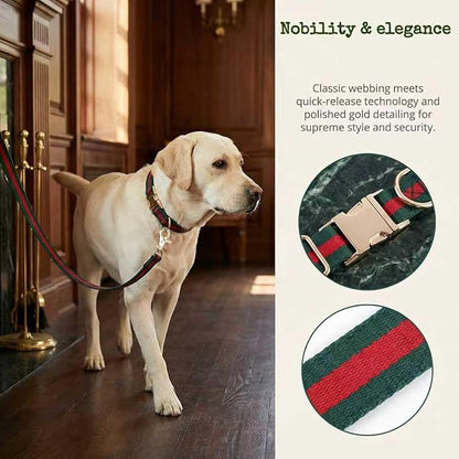 Premium Dog Collar, Cute Dog Collars Luxury Style, Durable Pet Collars and Dog - Image 4