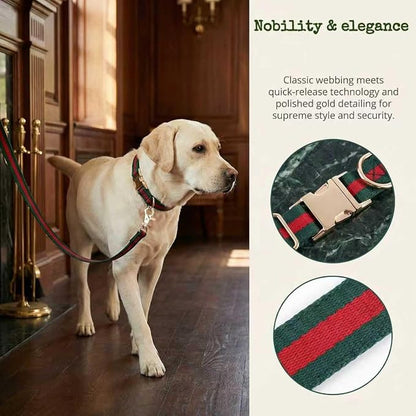 Premium Dog Collar, Cute Dog Collars Luxury Style, Durable Pet Collars and Dog - Image 4