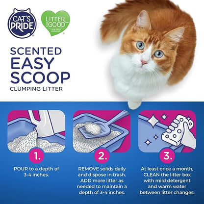 Cat's Pride Fresh and Clean Scent Cat Litter 10 lb. - Image 6