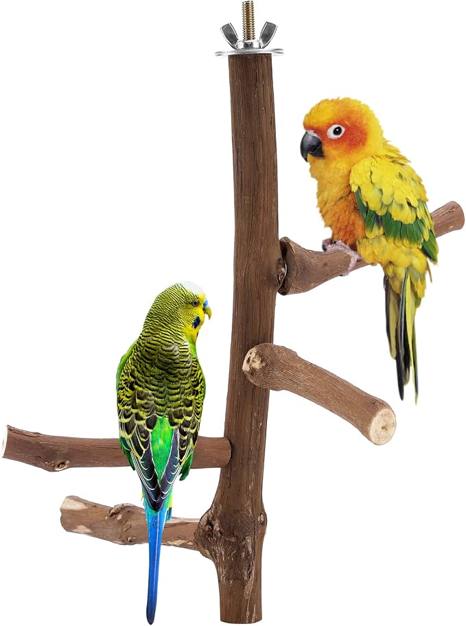 CozyCabin Natural Bird Perch Stand by CozyCabin