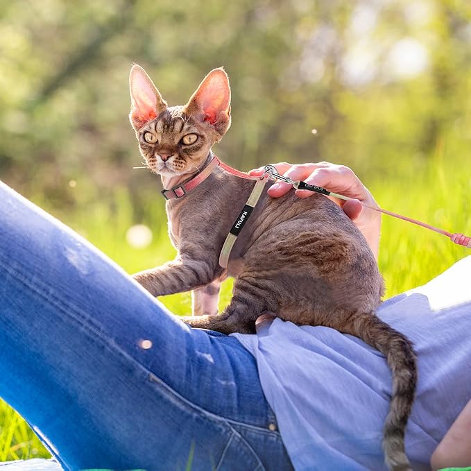 TIESOME Cat Harness and Leash Set, Adjustable Gradient Kitten Harness Escape - Image 6