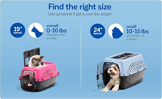 Petmate Dog Crates for Small Dogs & Cat Carriers, Two-Door Plastic Pet Kennel - Image 4