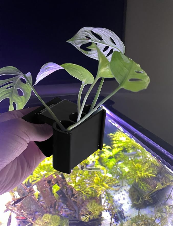 2 Pk Upgraded Aquarium Plant Holder, Hanging Aquarium Plant Holder - Image 6