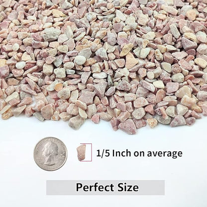 5LB Succulent and Cactus Gravel Pebbles, 1/5 Inch Natural Decorative Polished - Image 2