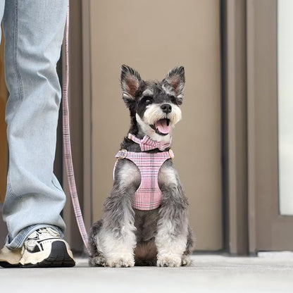 Beirui Cute Small Dog Harness Collar and Leash Set - Image 4
