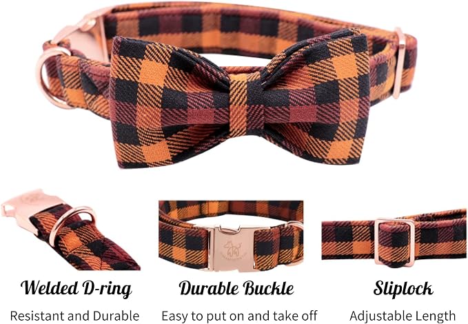 Elegant little tail Dog Collar - Image 4