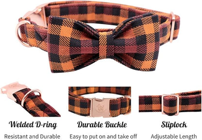 Elegant little tail Dog Collar - Image 4